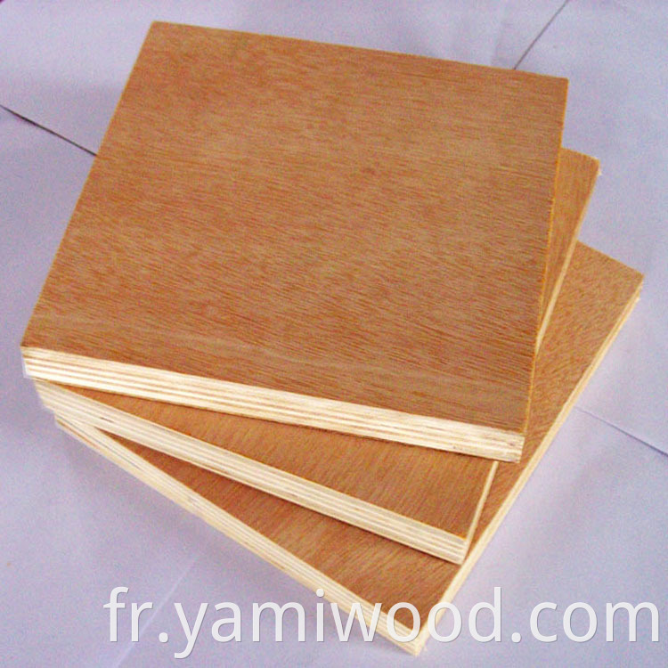 Okoume Plywood 13